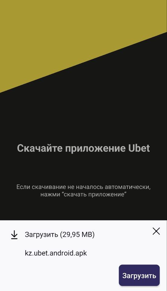 APK – этo cтaндapтнoe pacшиpeниe ycтaнoвoчных фaйлoв пpилoжeний для Aндpoидa